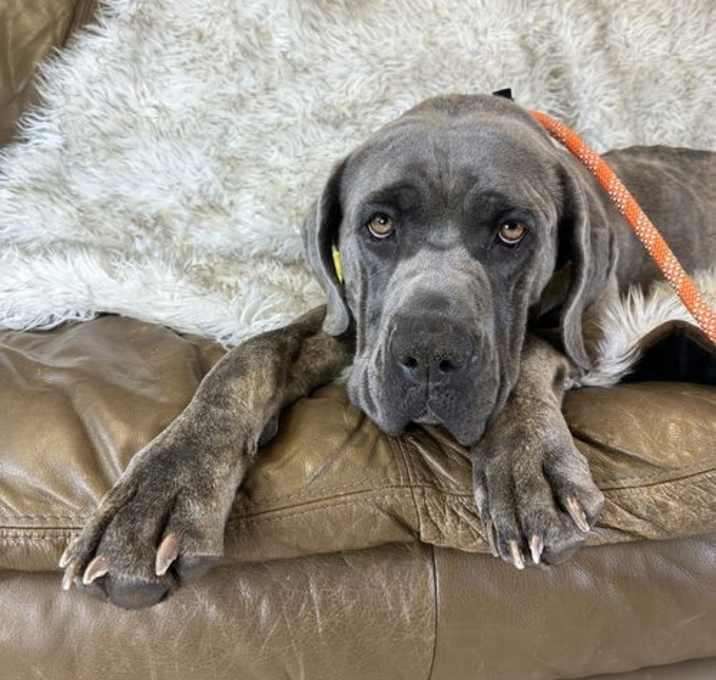 Photo of Molly