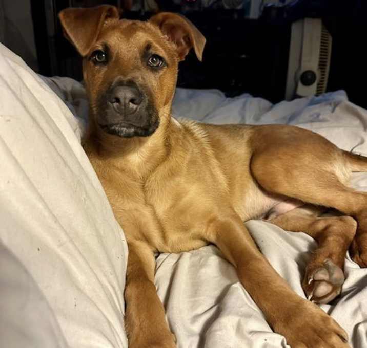 Photo of Max