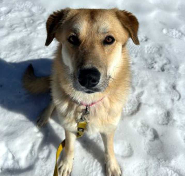 Photo of Janie