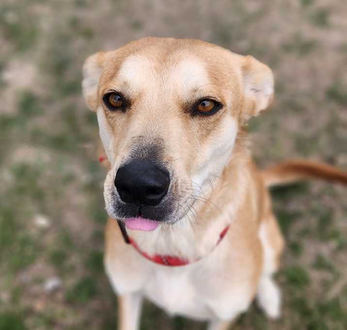 Photo of Jingle JuM
