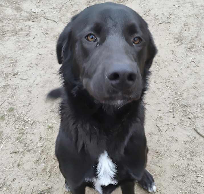 Photo of VICTOR