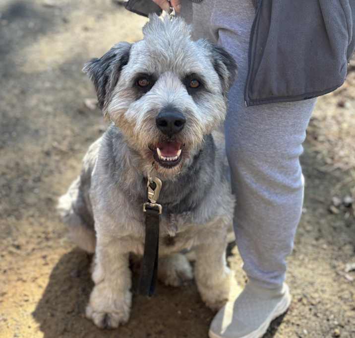 Photo of Harley