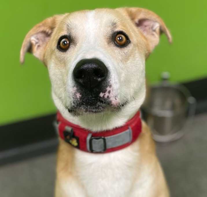 Photo of Finn