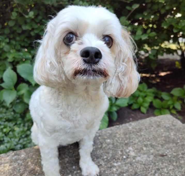 Photo of Marnie