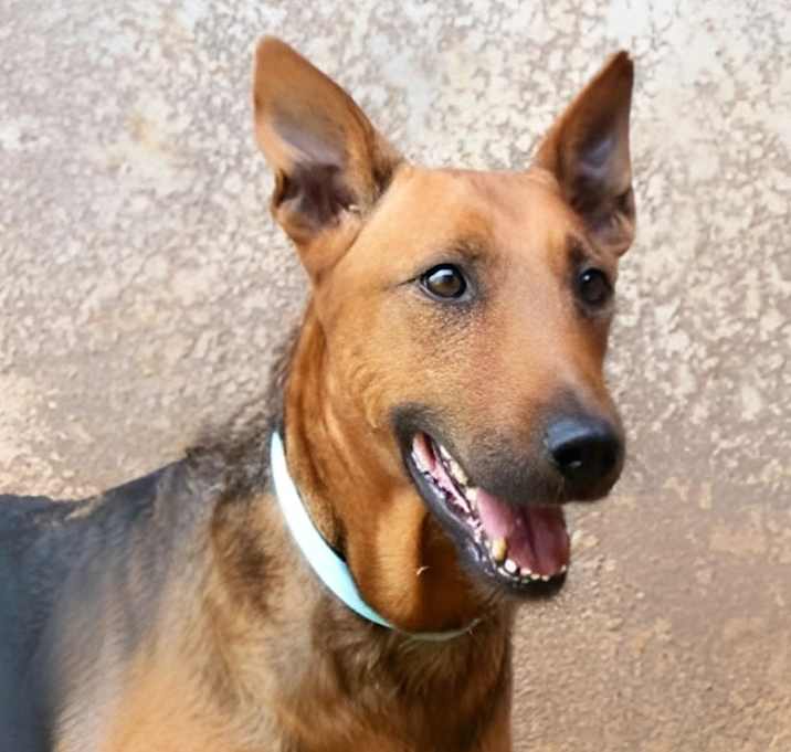 Photo of Max