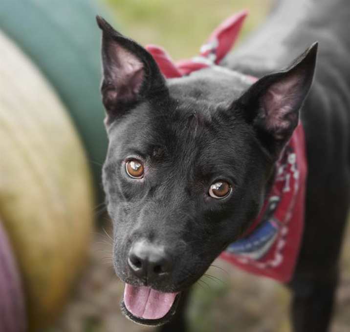 Photo of CASSIUS