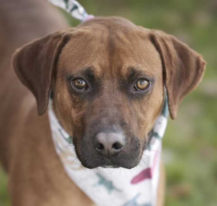 Photo of PAYTON