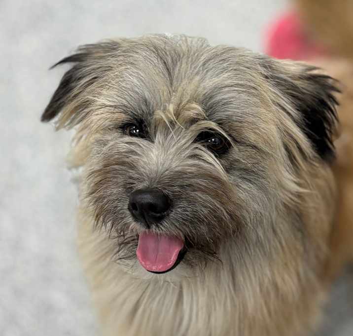 Photo of Winston