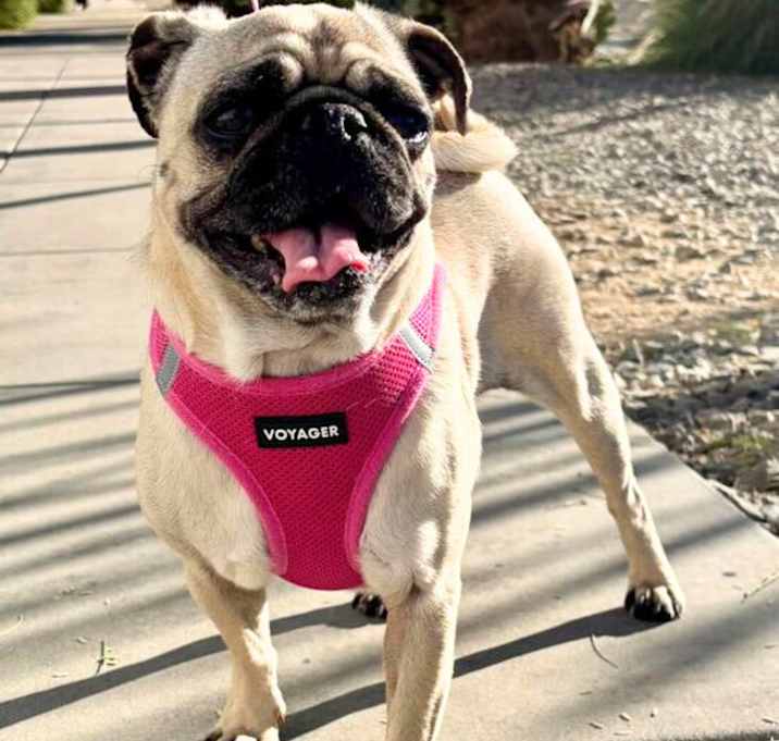 Photo of Ellie