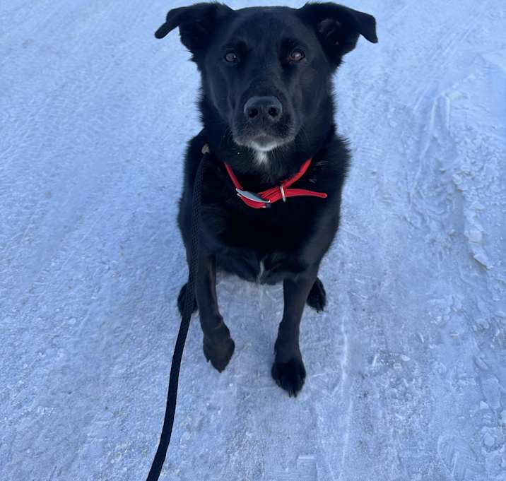 Photo of Missy
