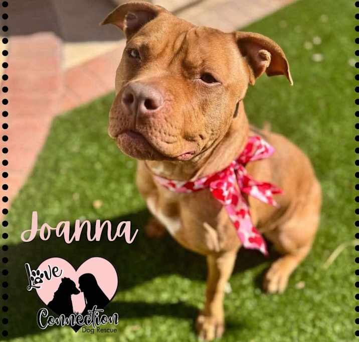 Photo of Joanna
