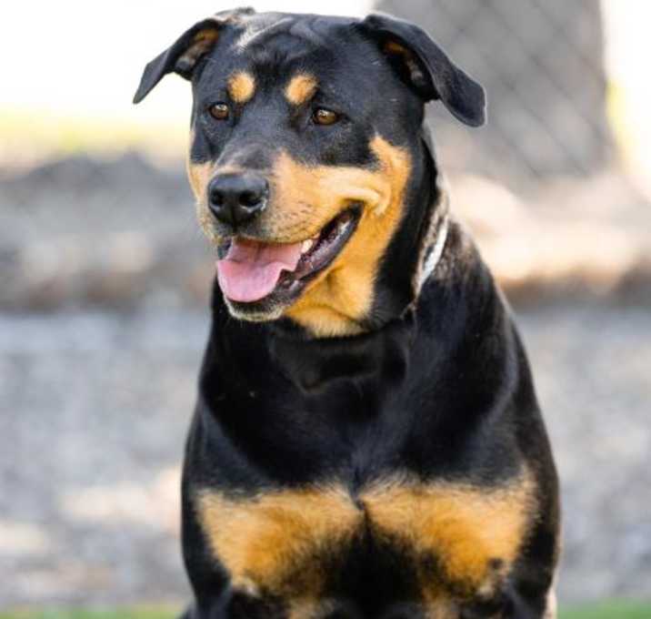 Photo of MIA