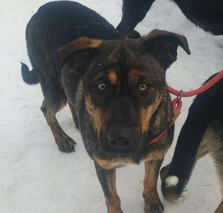 Photo of Bruce
