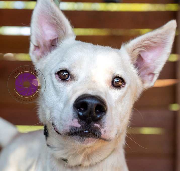 Photo of Oakley