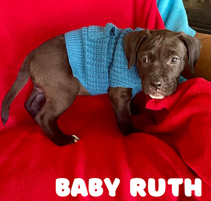 Photo of Baby Ruth
