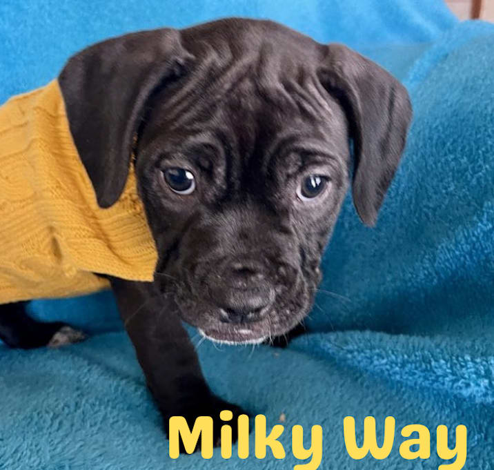 Photo of Milky Way