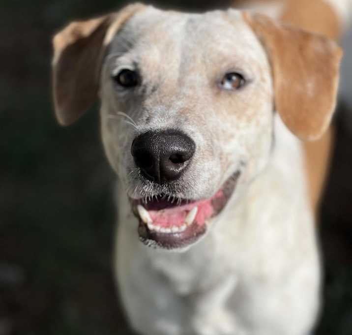 Photo of Tanner