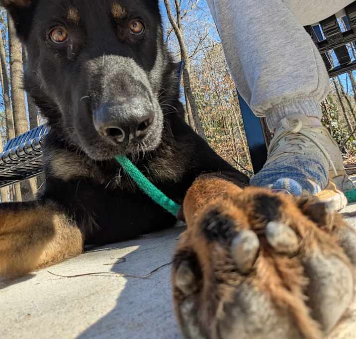Photo of Bou