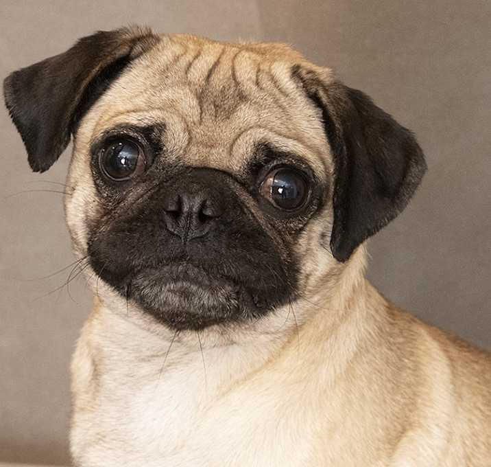 Photo of Mia