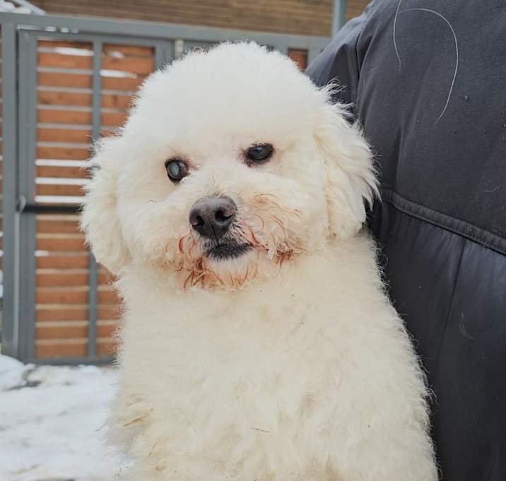 Photo of Snow