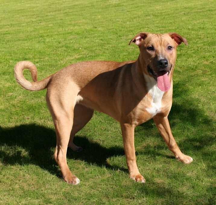 Photo of Sandy