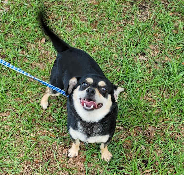Photo of Chomp