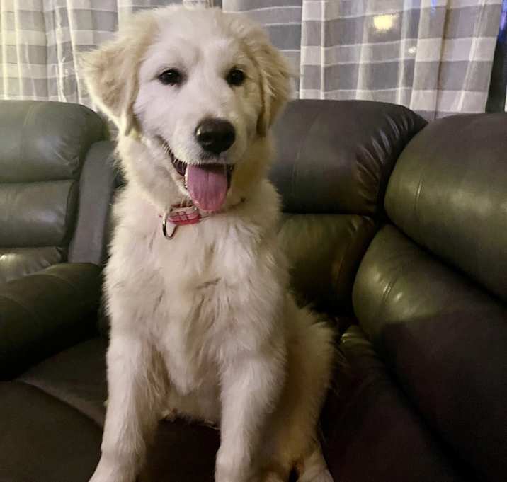 Photo of Jovi