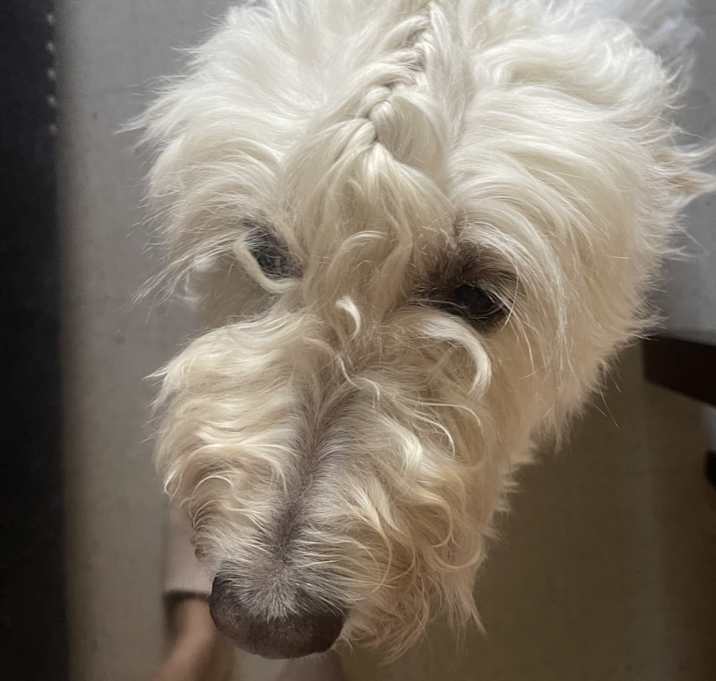 Photo of Stormy
