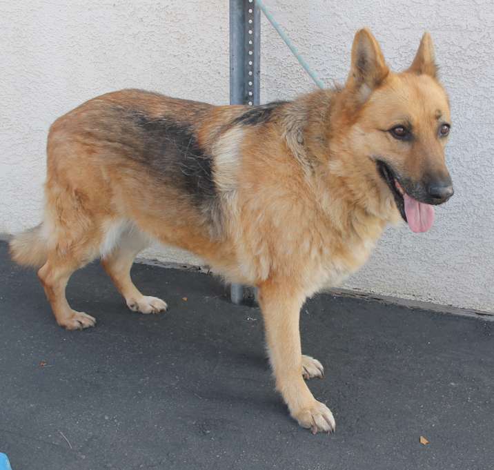 Photo of NICO
