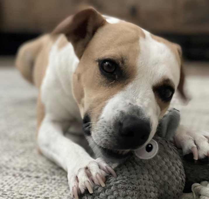 Photo of Austin