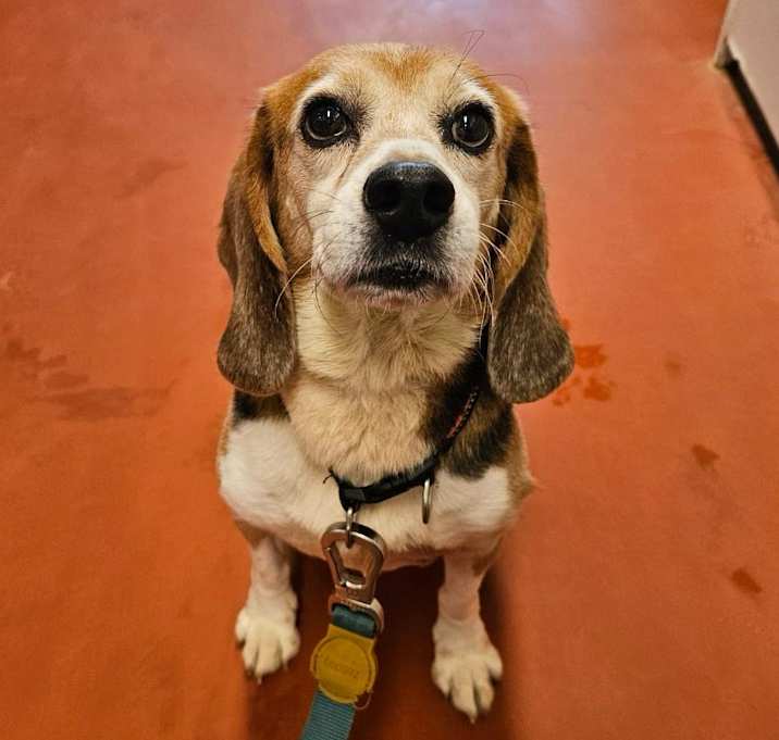 Photo of Skippy