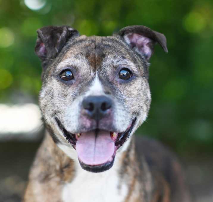 Photo of NELLIE