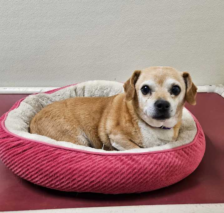 Photo of Chuy