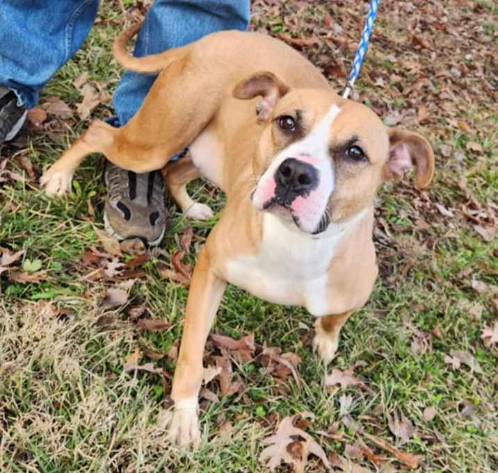 Photo of daisy