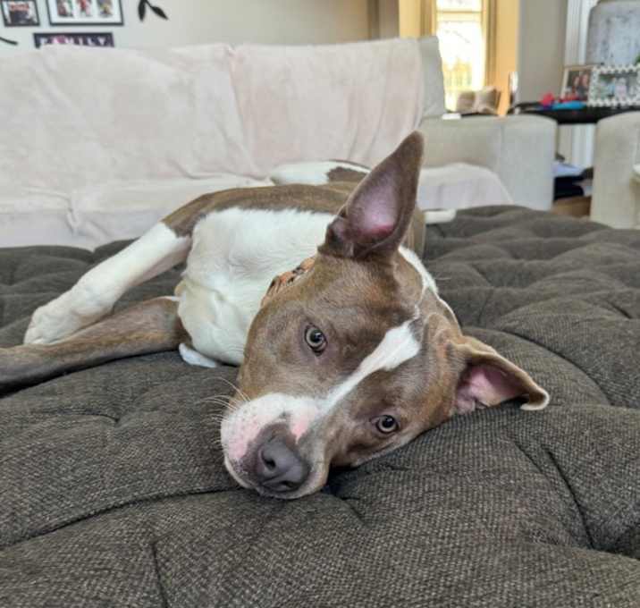 Photo of Bruce Wayne