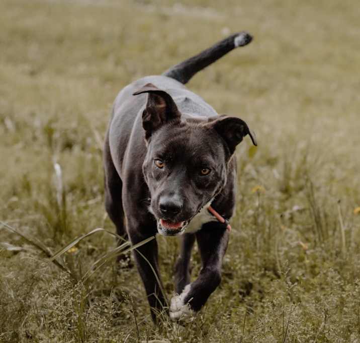 Photo of Zane