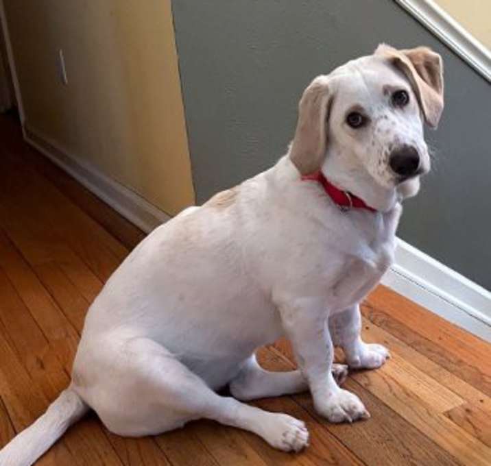 Photo of Dakota