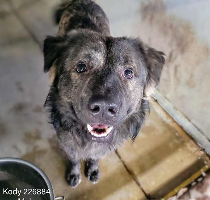 Photo of Kody