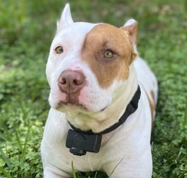 Photo of Lucy