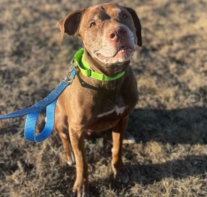 Photo of Butch