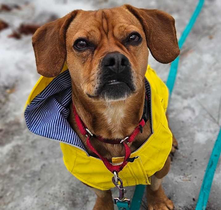 Photo of Milo