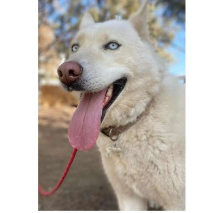 Photo of Tina