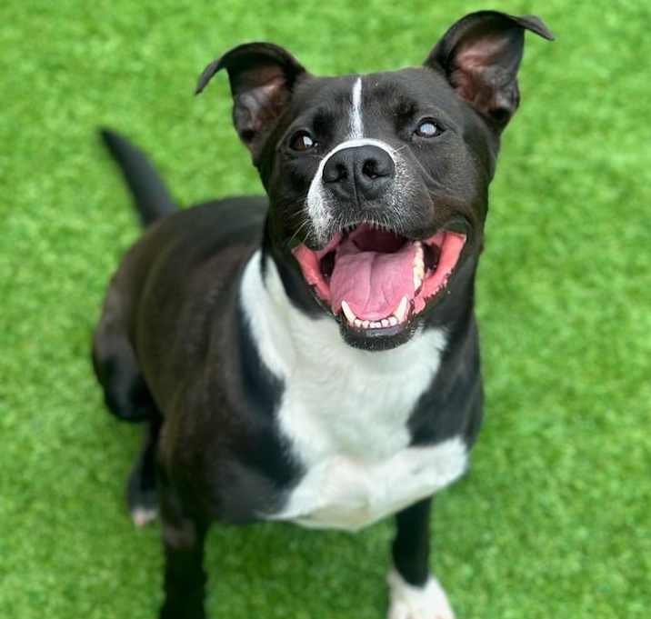 Photo of Charles  A046693