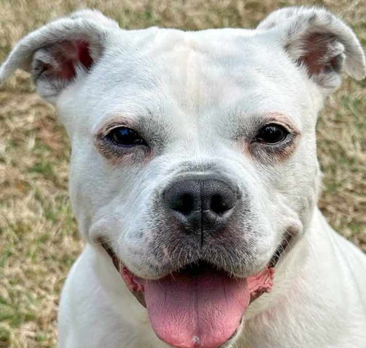 Photo of Etta