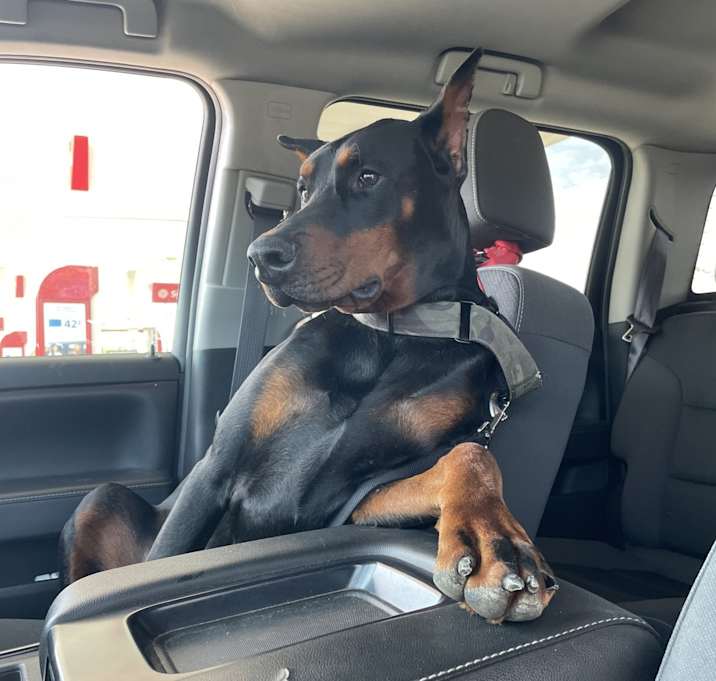 Photo of Zero