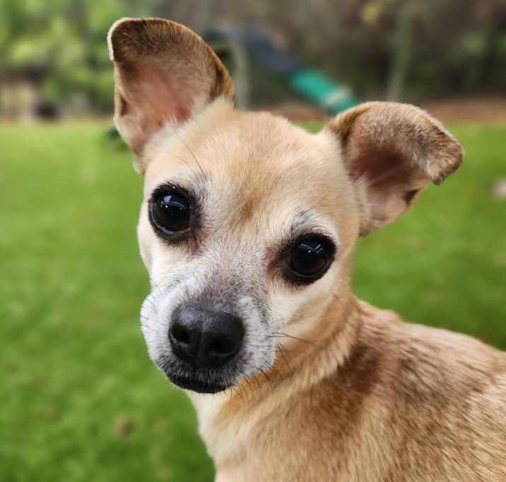 Photo of Kima