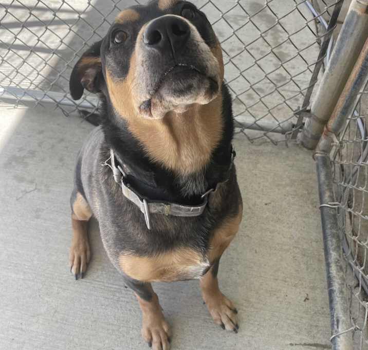 Photo of Sokka