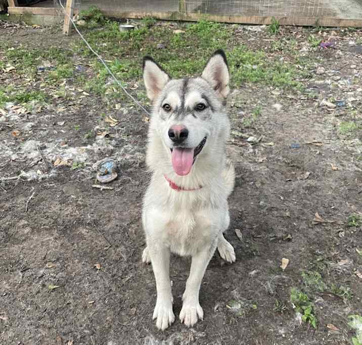 Photo of Luna