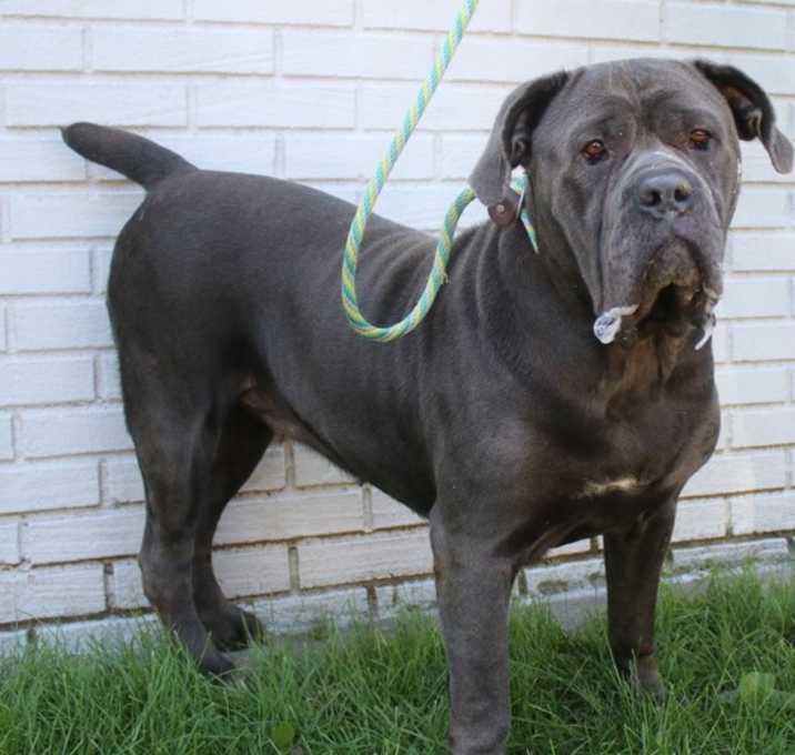 Photo of Bonnie