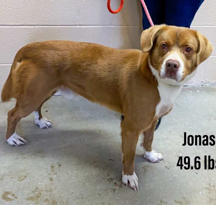 Photo of Jonas